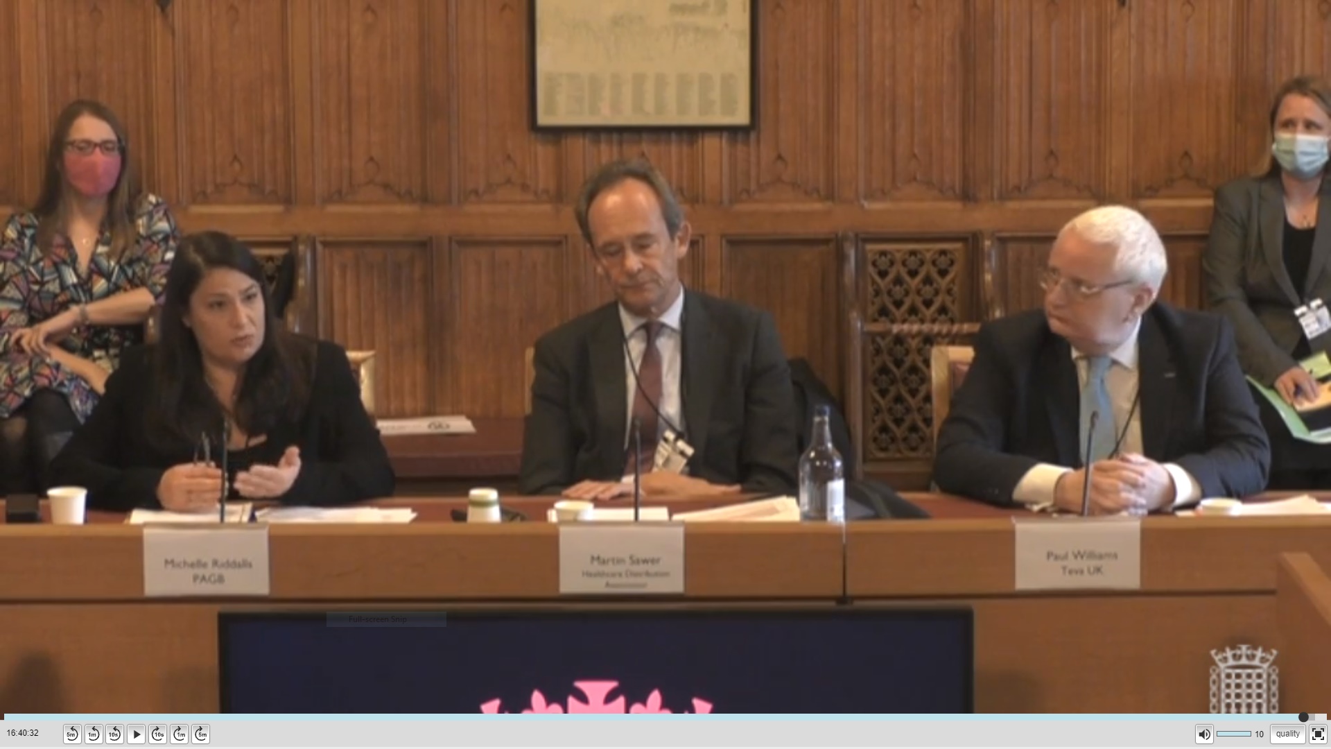 PAGB CEO Michelle Riddalls gives evidence to House of Lords committee