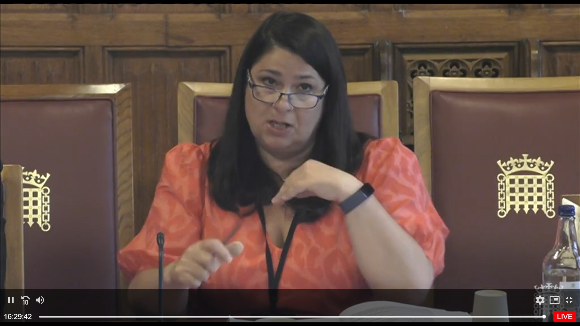 Michelle Riddalls gives expert evidence at the House of Lords